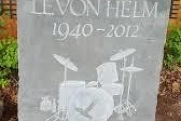 a close up of a flower